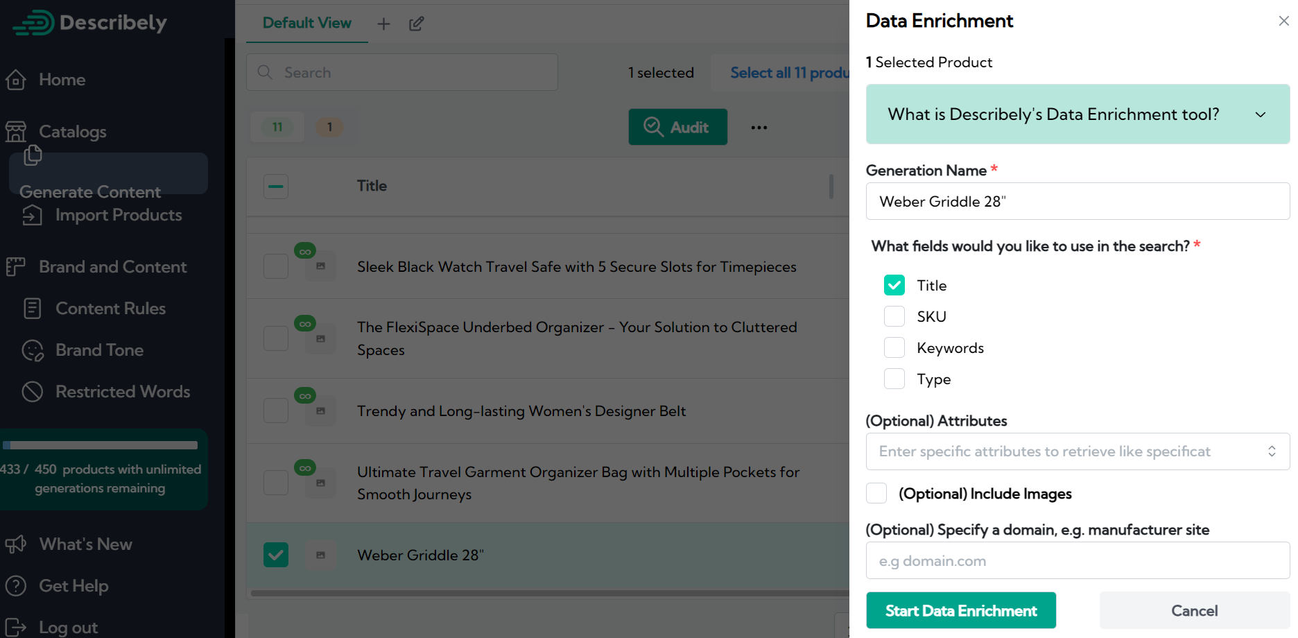 describely data enrichment example