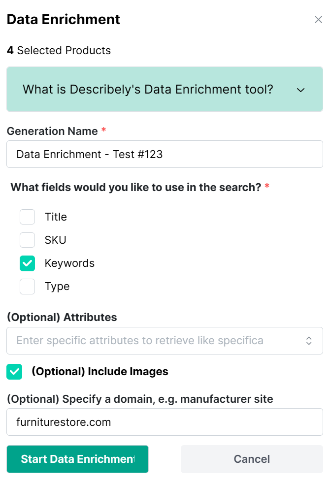 Data enrichment feature (Describely)