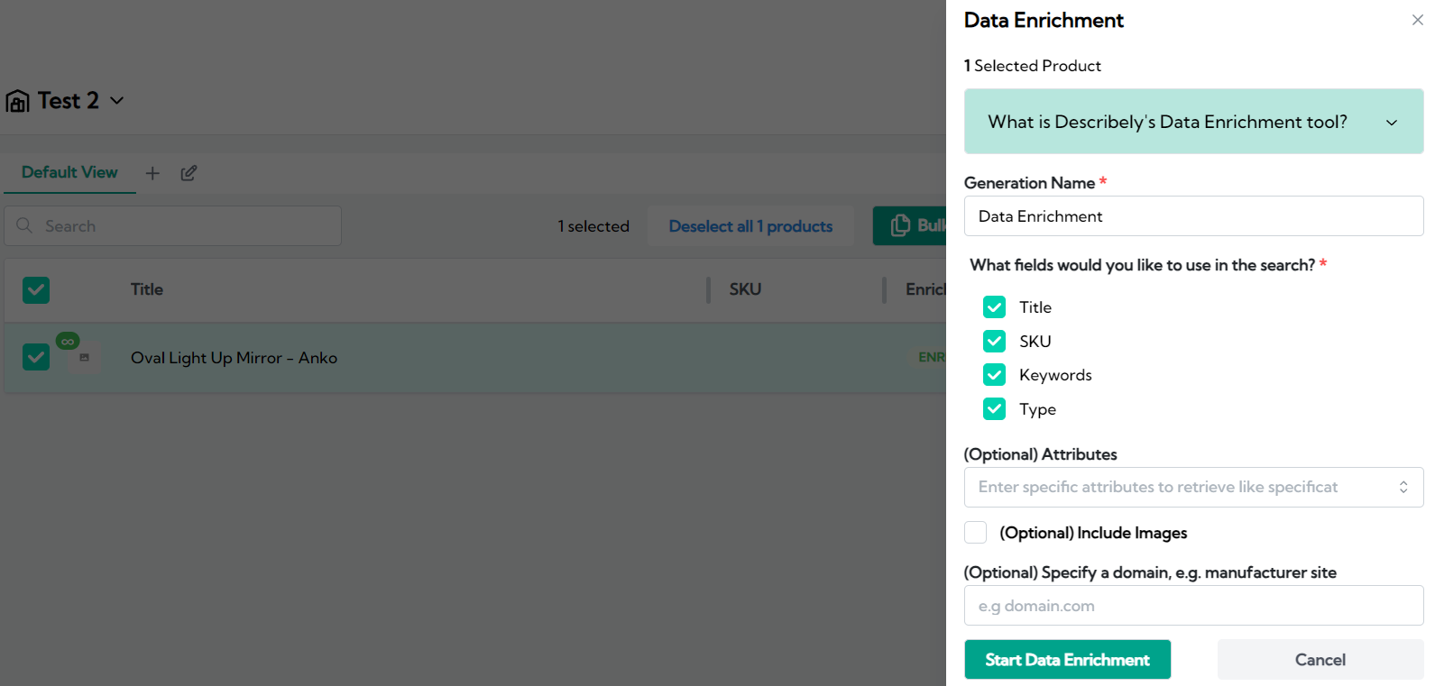 Data enrichment features on Describely