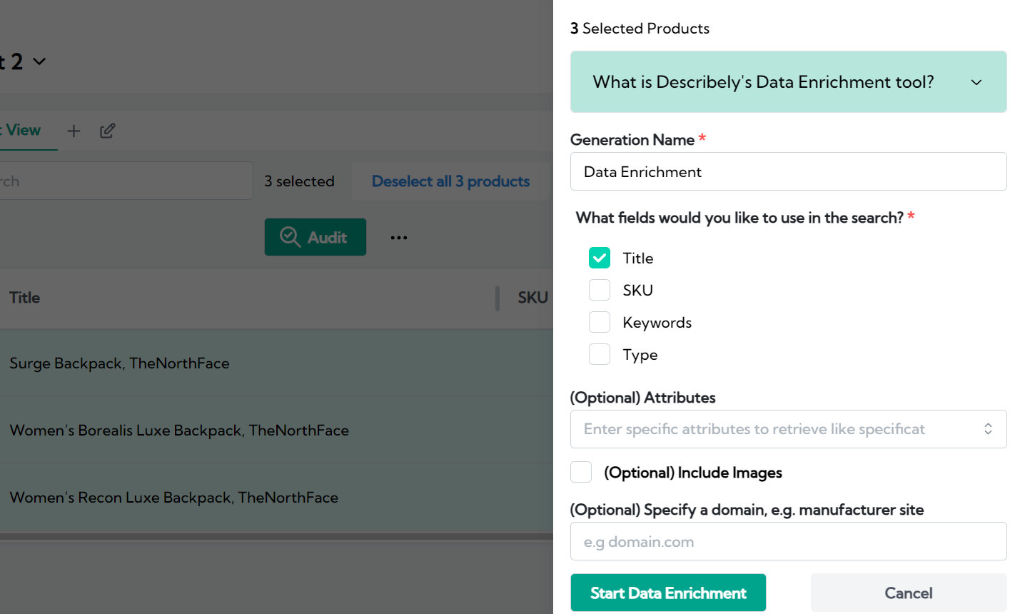 Describely data enrichment options