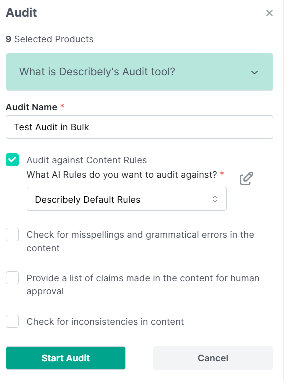 Describely Content Audit