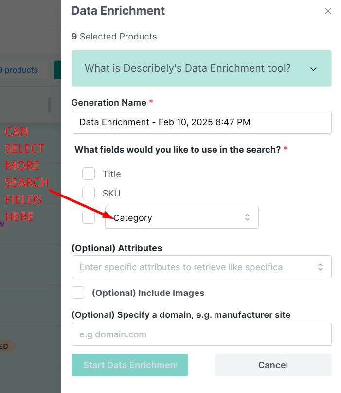 Describely Data Enrichment