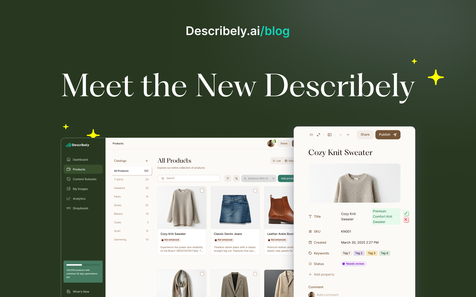 Meet the New Describely